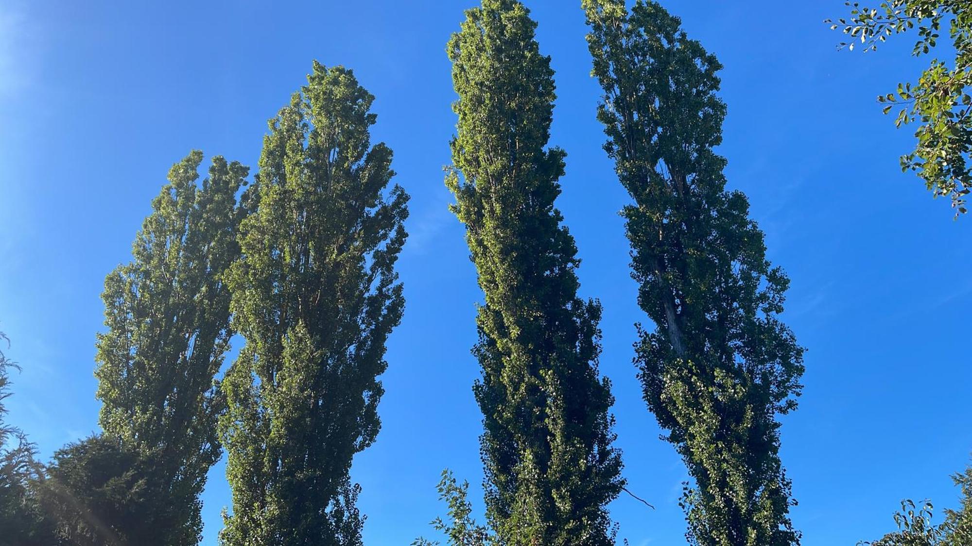Ruhige Ferienwohnung , Ideal Fuer Berufspendler Hadamar Esterno foto